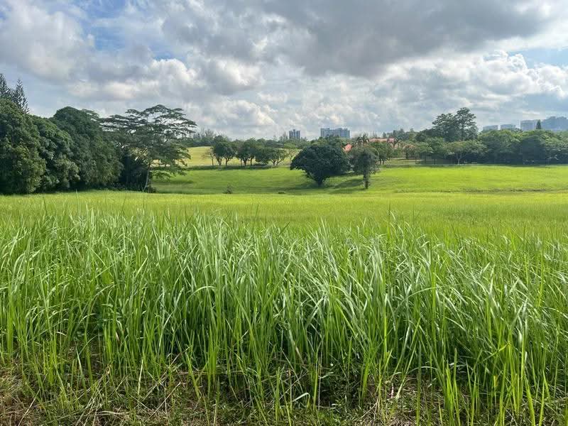 Bungalow Land for Sale in Leisure Farm (Gelang Patah) - Ying Xuan - Exterior - PropertyGuru.com.my