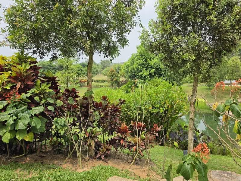 Agricultural Land for Sale in Semenyih (Selangor) - Kelly Ang - Garden - PropertyGuru.com.my