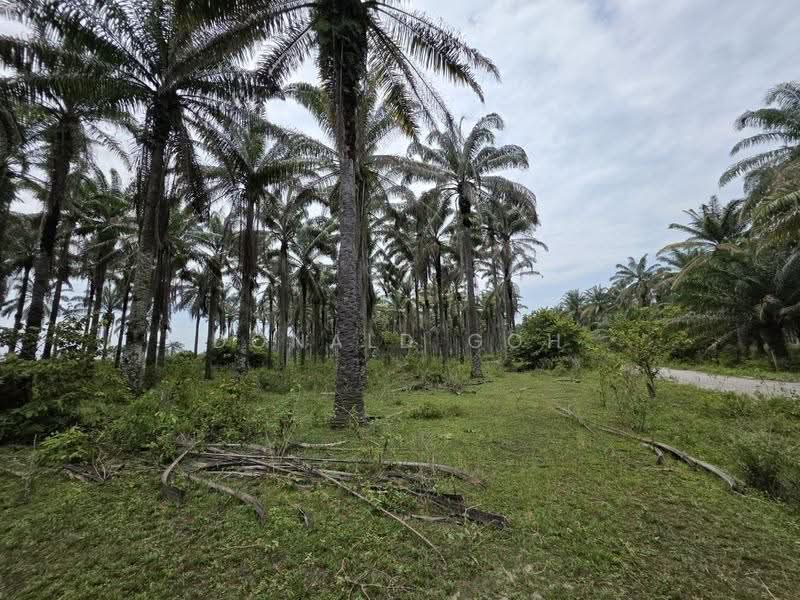 Tanah Pertanian untuk Dijual di Gopeng (Perak) - Donald Goh - Garden - PropertyGuru.com.my