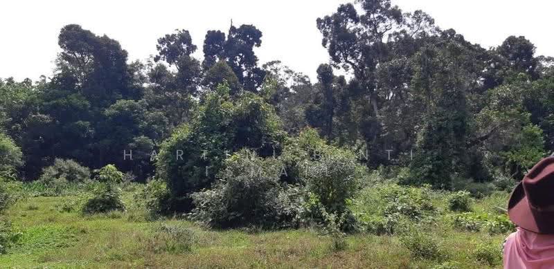 Tanah Pertanian untuk Dijual di Kampung Sungai Buah (Dengkil) - Hartini Binti Ismail - PropertyGuru.com.my