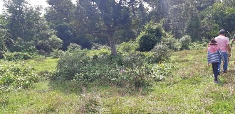 Tanah Pertanian untuk Dijual di Kampung Sungai Buah (Dengkil) - Hartini Binti Ismail - PropertyGuru.com.my