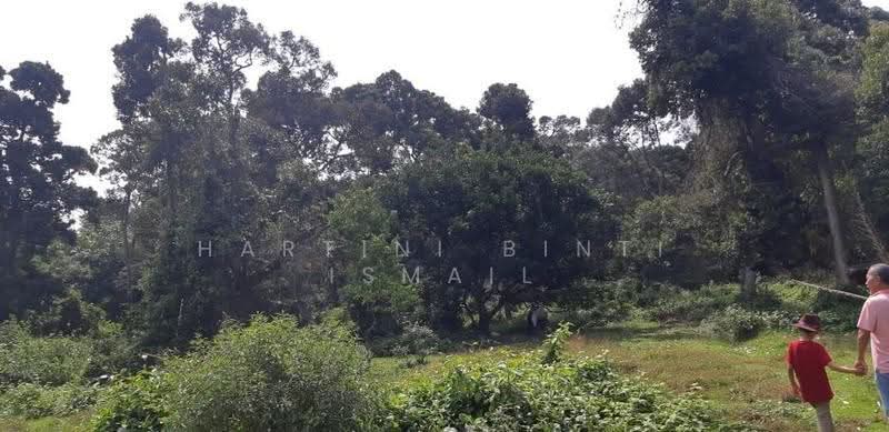 Tanah Pertanian untuk Dijual di Kampung Sungai Buah (Dengkil) - Hartini Binti Ismail - PropertyGuru.com.my