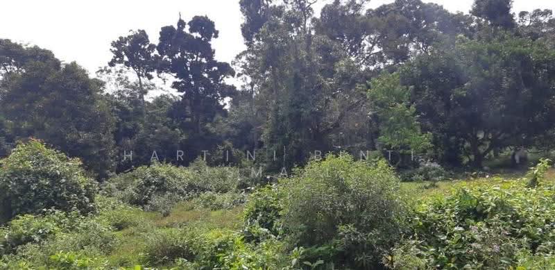 Tanah Pertanian untuk Dijual di Kampung Sungai Buah (Dengkil) - Hartini Binti Ismail - PropertyGuru.com.my