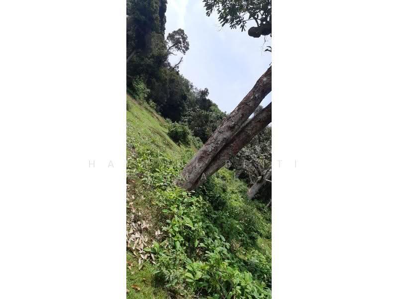 Tanah Pertanian untuk Dijual di Kampung Sungai Buah (Dengkil) - Hartini Binti Ismail - PropertyGuru.com.my