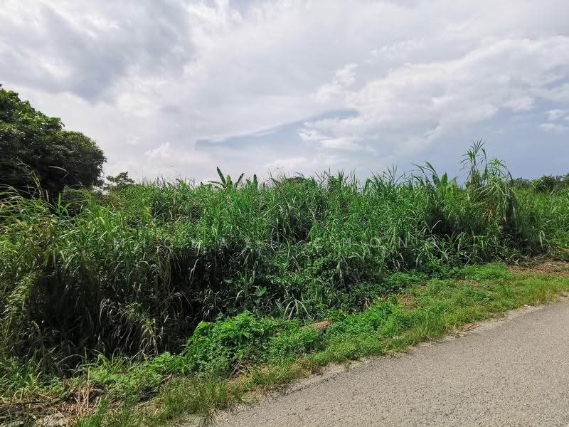 Industrial Land for Sale in Gelang Patah (Johor) - Michael Chong - Exterior - PropertyGuru.com.my