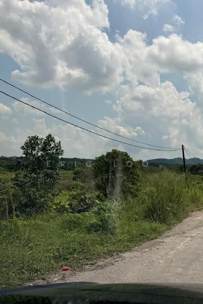 Industrial Land for Sale in Pekan Nenas (Jeram Batu) - Eric Loo - Exterior - PropertyGuru.com.my