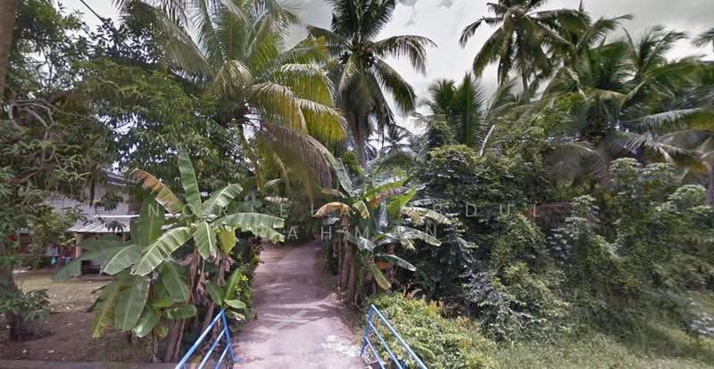Agricultural Land for Sale in Kota Bharu (Kelantan) - Norlela Abdul Rahman - Exterior - PropertyGuru.com.my