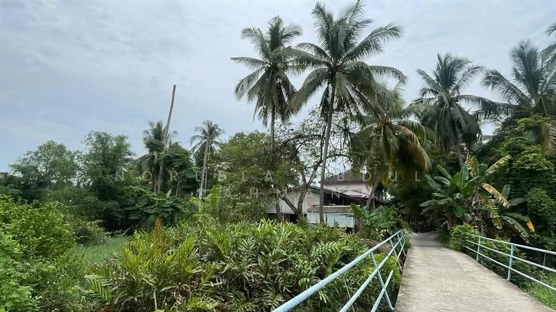 Agricultural Land for Sale in Kota Bharu (Kelantan) - Norlela Abdul Rahman - Exterior - PropertyGuru.com.my