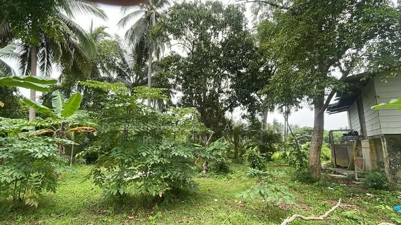 Agricultural Land for Sale in Kota Bharu (Kelantan) - Norlela Abdul Rahman - Exterior - PropertyGuru.com.my