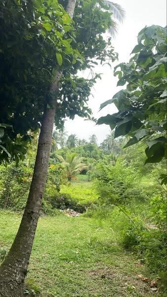 Agricultural Land for Sale in Kota Bharu (Kelantan) - Norlela Abdul Rahman - Exterior - PropertyGuru.com.my