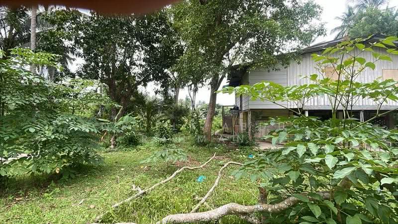 Agricultural Land for Sale in Kota Bharu (Kelantan) - Norlela Abdul Rahman - Exterior - PropertyGuru.com.my