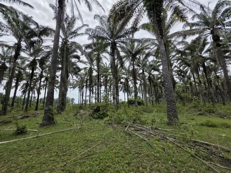 Residential Land for Sale in Gopeng (Perak) - Gary Tang - Exterior - PropertyGuru.com.my