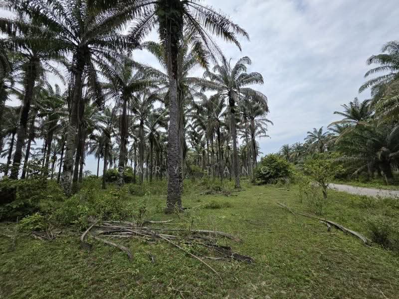 Residential Land for Sale in Gopeng (Perak) - Gary Tang - Garden - PropertyGuru.com.my