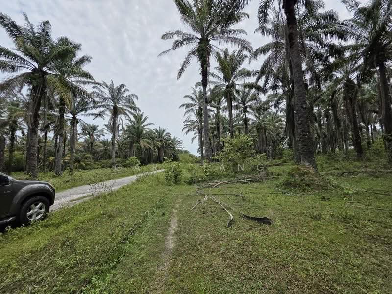 Residential Land for Sale in Gopeng (Perak) - Gary Tang - Exterior - PropertyGuru.com.my
