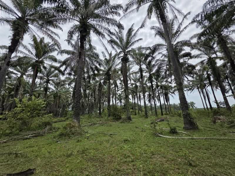 Residential Land for Sale in Gopeng (Perak) - Gary Tang - Exterior - PropertyGuru.com.my