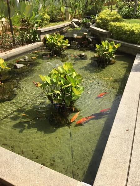 3-storey Terraced House for Sale in Ampang (Kuala Lumpur) - Hetha Chan - Garden - PropertyGuru.com.my