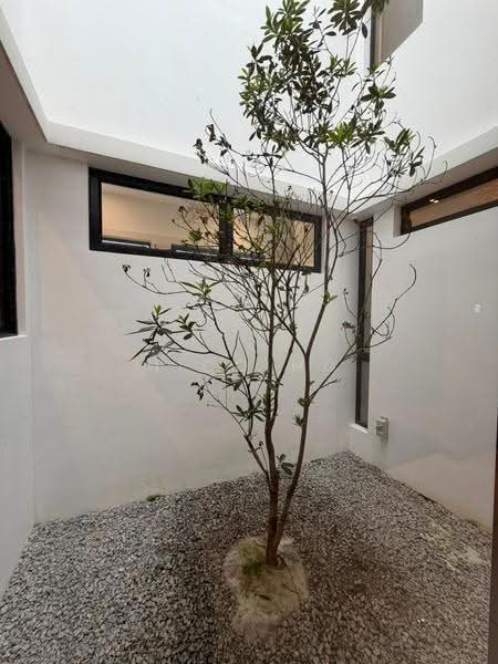 3-storey Terraced House for Sale in Senibong Cove (Masai) - Nico Ho - Garden - PropertyGuru.com.my