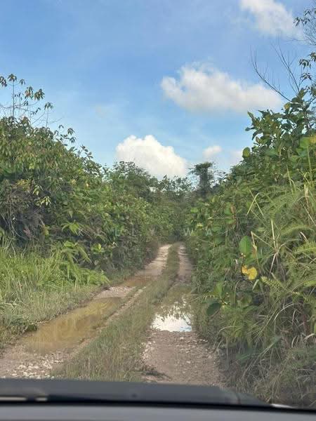 Tanah Pertanian untuk Dijual di Gelang Patah (Johor) - Kelly Wai - Exterior - PropertyGuru.com.my