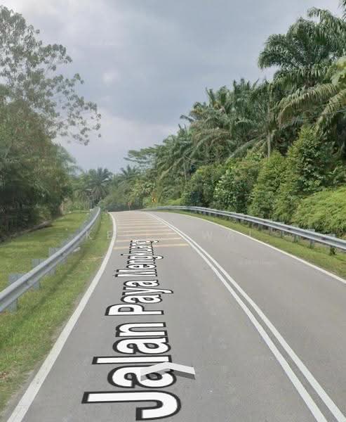 Tanah Pertanian untuk Dijual di Gelang Patah (Johor) - Kelly Wai - PropertyGuru.com.my