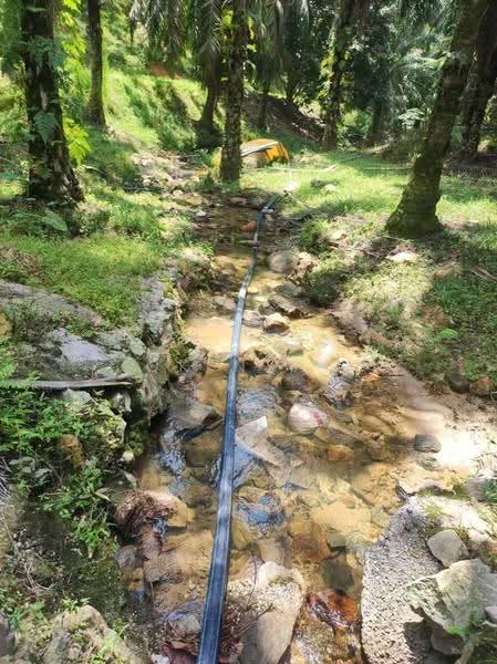 Agricultural Land for Sale in Ipoh (Perak) - Ck Nyau - Exterior - PropertyGuru.com.my