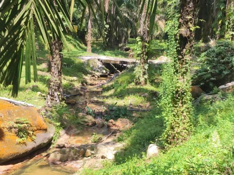 Agricultural Land for Sale in Ipoh (Perak) - Ck Nyau - Exterior - PropertyGuru.com.my