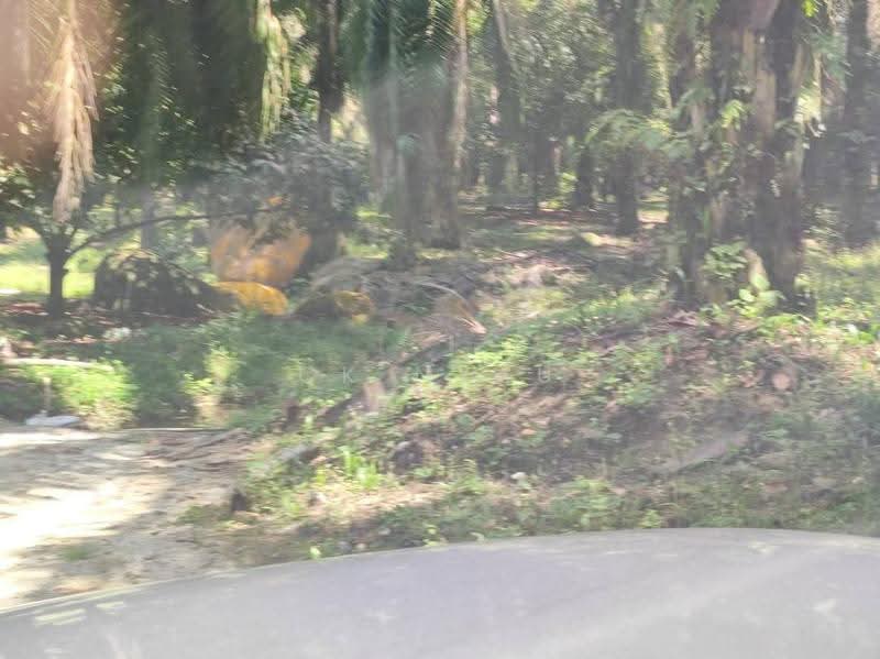 Agricultural Land for Sale in Ipoh (Perak) - Ck Nyau - Exterior - PropertyGuru.com.my