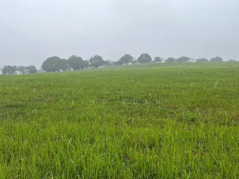 Bungalow Land for Sale in Leisure Farm (Gelang Patah) - Ying Xuan - Exterior - PropertyGuru.com.my