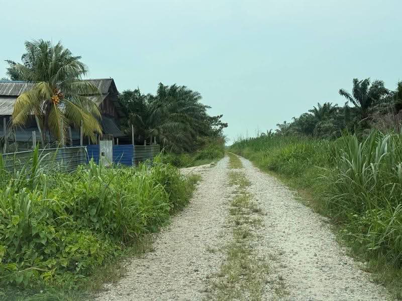 Tanah Pertanian untuk Dijual di Pontian (Johor) - Erica Ho - Exterior - PropertyGuru.com.my