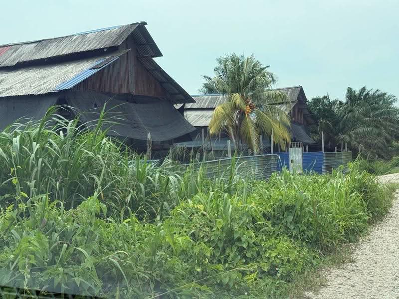 Tanah Pertanian untuk Dijual di Pontian (Johor) - Erica Ho - Exterior - PropertyGuru.com.my