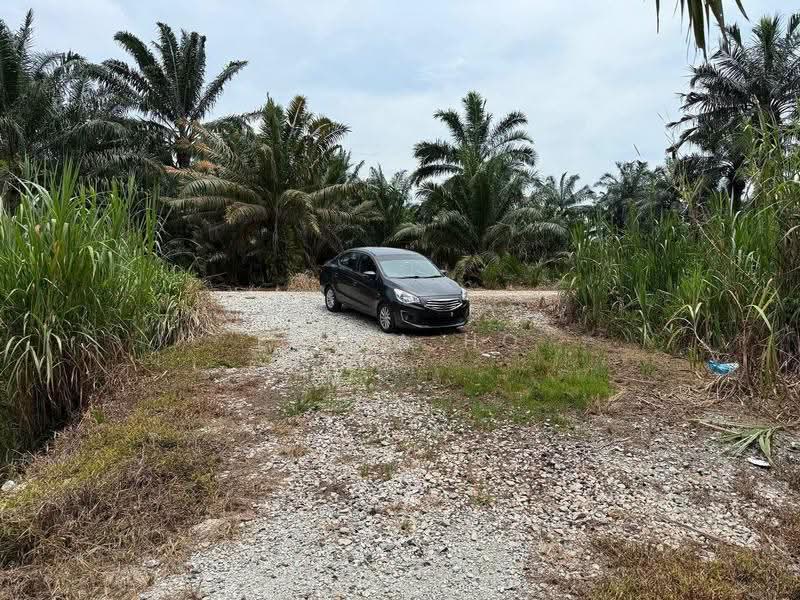 Tanah Pertanian untuk Dijual di Pontian (Johor) - Erica Ho - Exterior - PropertyGuru.com.my