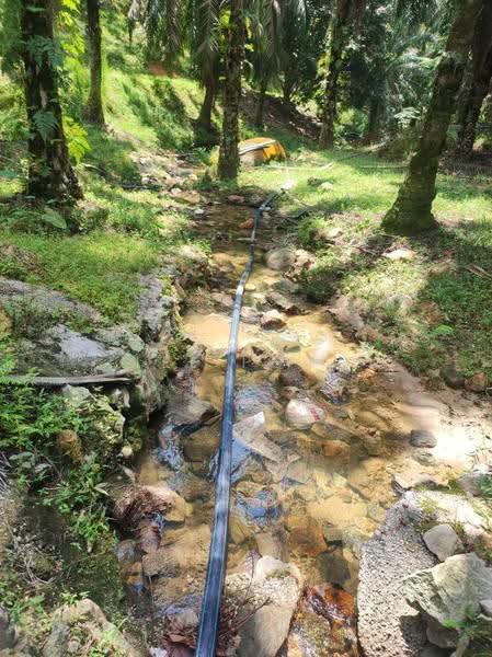 Agricultural Land for Sale in Pusing (Perak) - Tee Pony - Exterior - PropertyGuru.com.my