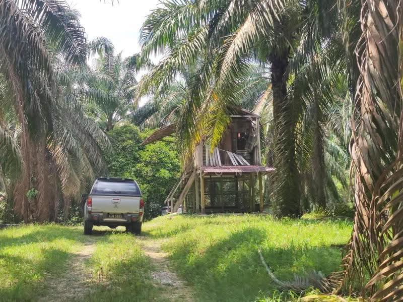 Agricultural Land for Sale in Pusing (Perak) - Tee Pony - Exterior - PropertyGuru.com.my