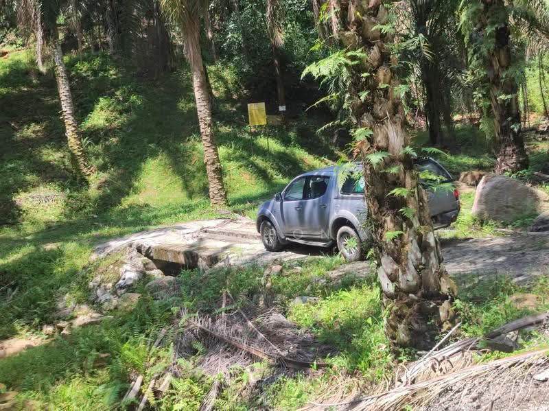 Agricultural Land for Sale in Pusing (Perak) - Tee Pony - Exterior - PropertyGuru.com.my