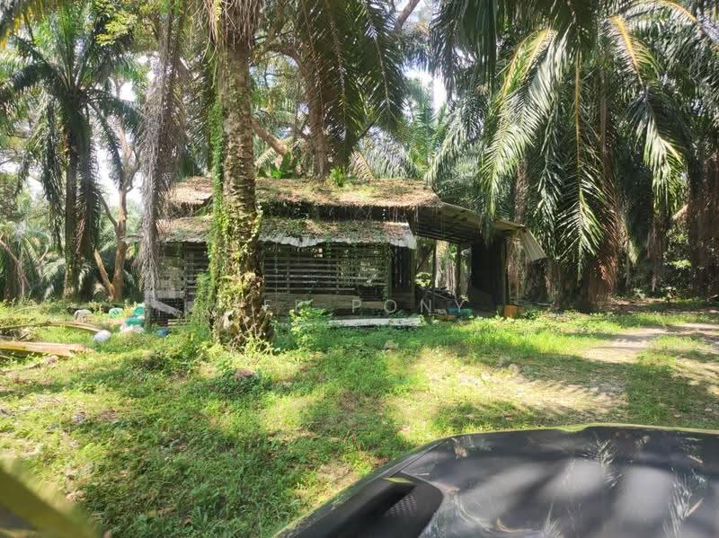 Agricultural Land for Sale in Pusing (Perak) - Tee Pony - Exterior - PropertyGuru.com.my
