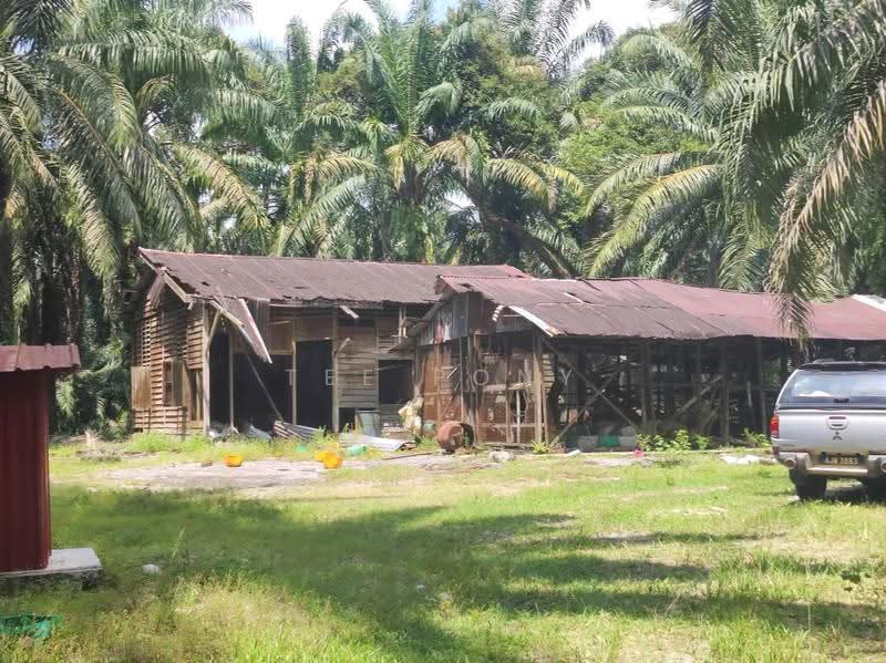 Agricultural Land for Sale in Pusing (Perak) - Tee Pony - PropertyGuru.com.my