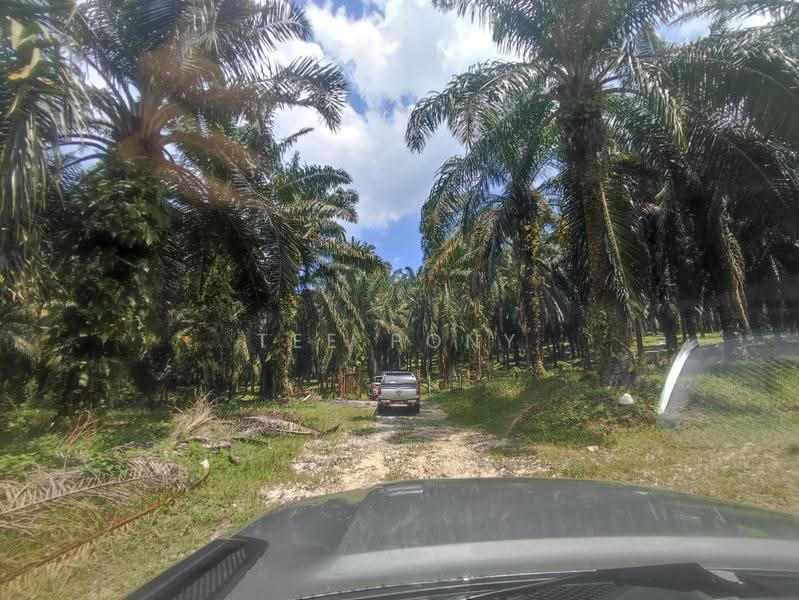 Agricultural Land for Sale in Pusing (Perak) - Tee Pony - PropertyGuru.com.my