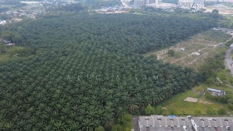 Tanah Kediaman untuk Dijual di Taman Nusantara (Iskandar Puteri (Nusajaya)) - Alicia Lim - Exterior - PropertyGuru.com.my