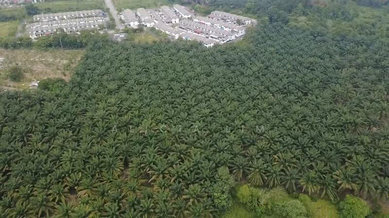 Tanah Kediaman untuk Dijual di Taman Nusantara (Iskandar Puteri (Nusajaya)) - Alicia Lim - PropertyGuru.com.my