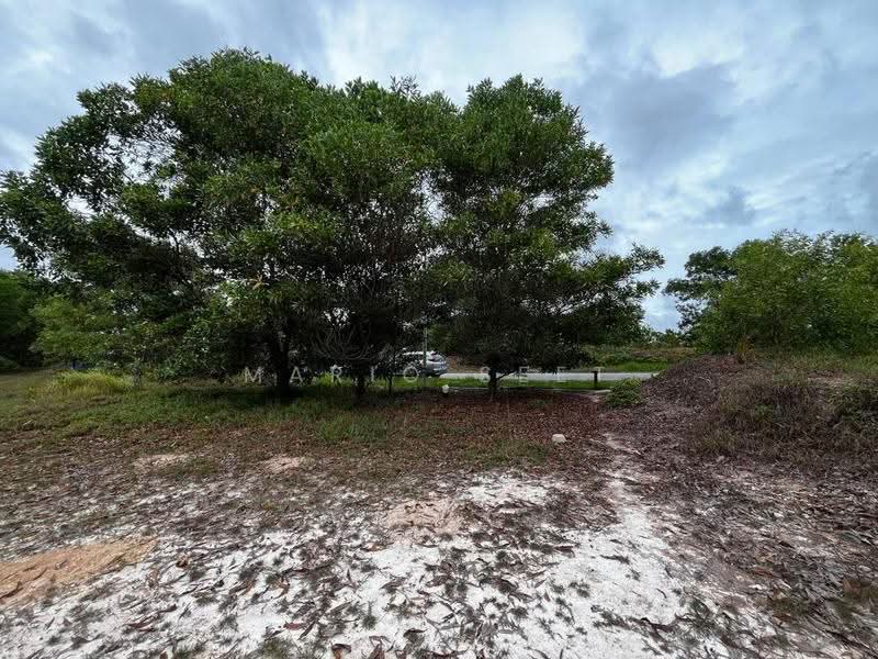 Industrial Land for Sale in Taman Perindustrian Tanjong Minyak Perdana (Tanjong Minyak) - Mario Seet - Exterior - PropertyGuru.com.my