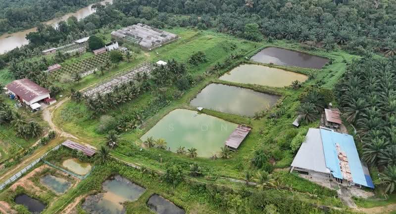 Tanah Pertanian untuk Dijual di Taman Mawai (Kota Tinggi) - K S Ong - PropertyGuru.com.my