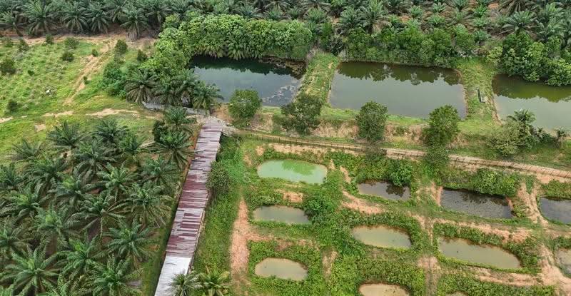 Tanah Pertanian untuk Dijual di Taman Mawai (Kota Tinggi) - K S Ong - PropertyGuru.com.my