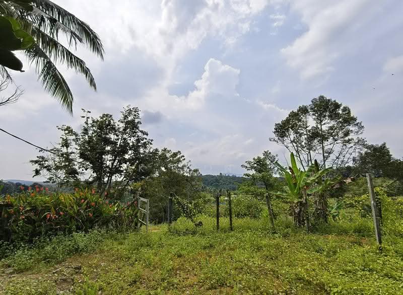 Tanah Pertanian untuk Dijual di Taman Mawai (Kota Tinggi) - K S Ong - PropertyGuru.com.my