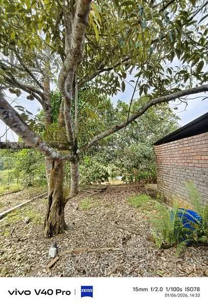 Tanah Pertanian untuk Dijual di Taman Mawai (Kota Tinggi) - K S Ong - PropertyGuru.com.my