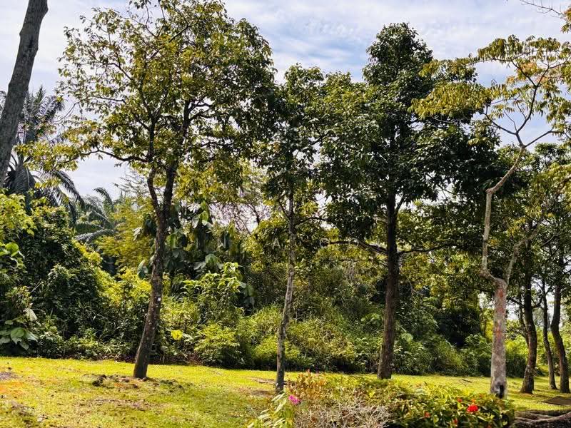 Tanah Komersial untuk Dijual di Cyberjaya (Selangor) - Linda Ooi - Garden - PropertyGuru.com.my