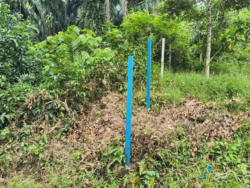 Agricultural Land for Sale in Nibong Tebal (Penang) - Kai Meng Liew - Exterior - PropertyGuru.com.my