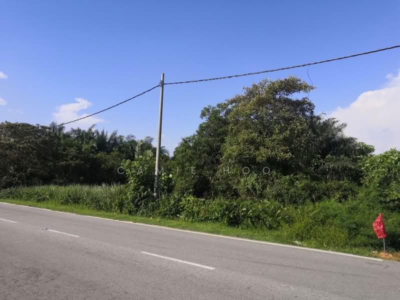 Tanah Pertanian untuk Dijual di Ijok (Selangor) - Camie Hoo - Exterior - PropertyGuru.com.my