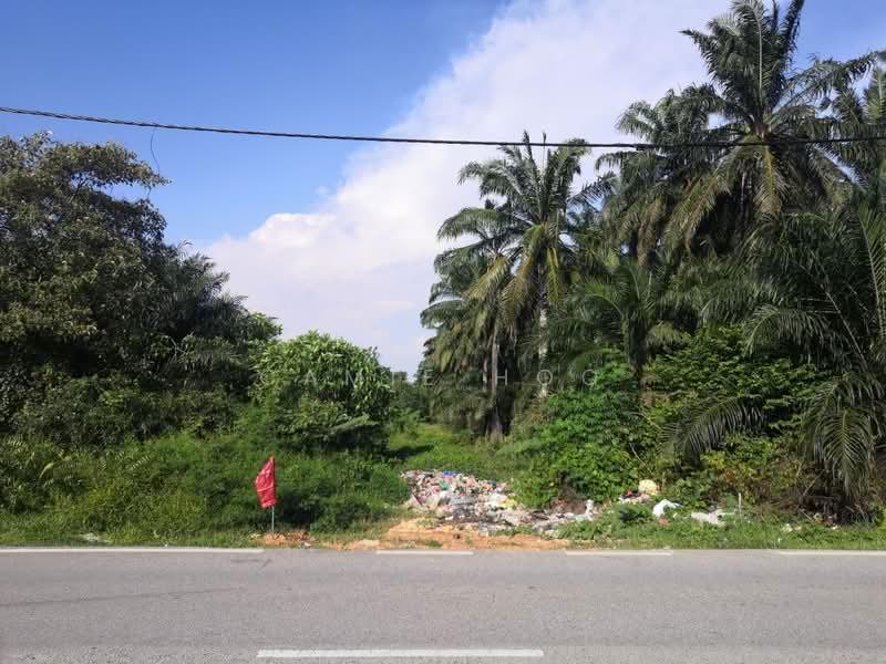 Tanah Pertanian untuk Dijual di Ijok (Selangor) - Camie Hoo - Exterior - PropertyGuru.com.my