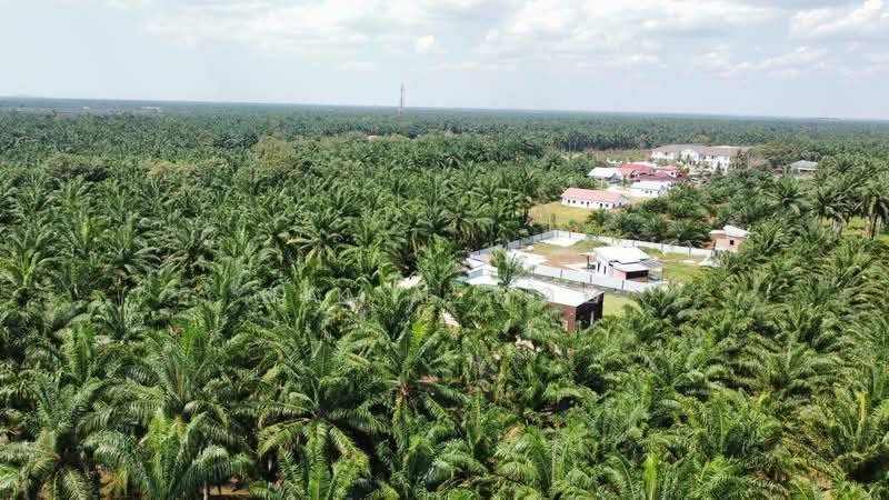 Tanah Pertanian untuk Dijual di Ijok (Selangor) - Camie Hoo - Exterior - PropertyGuru.com.my