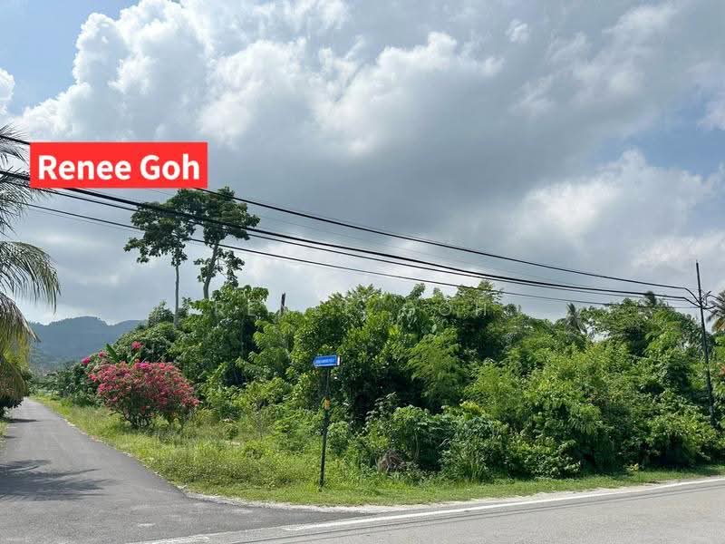 Tanah Perindustrian untuk Dijual di Balik Pulau (Penang) - Renee Goh - Exterior - PropertyGuru.com.my
