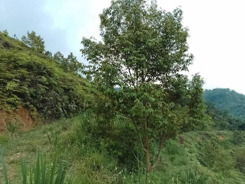 Tanah Pertanian untuk Dijual di Raub (Pahang) - Janlly Jong - Exterior - PropertyGuru.com.my